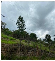 TERRENO - SANTA LUZIA