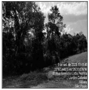 TERRENO - MATO DENTRO